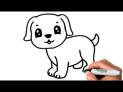 How To Draw A Dog| 40 Easy Lessons on Drawing A Dog