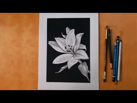 Contemporary Floral Still Life Charcoal Drawing by Jose Trujillo | Chairish